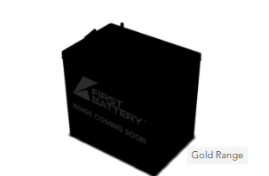 R875 Golf Cart Battery